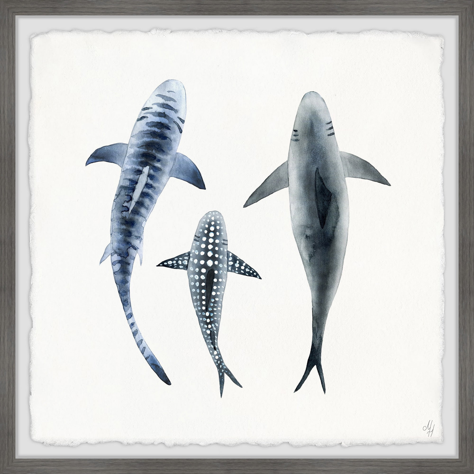 Marmont Hill Patterned Sharks Framed Wall Art