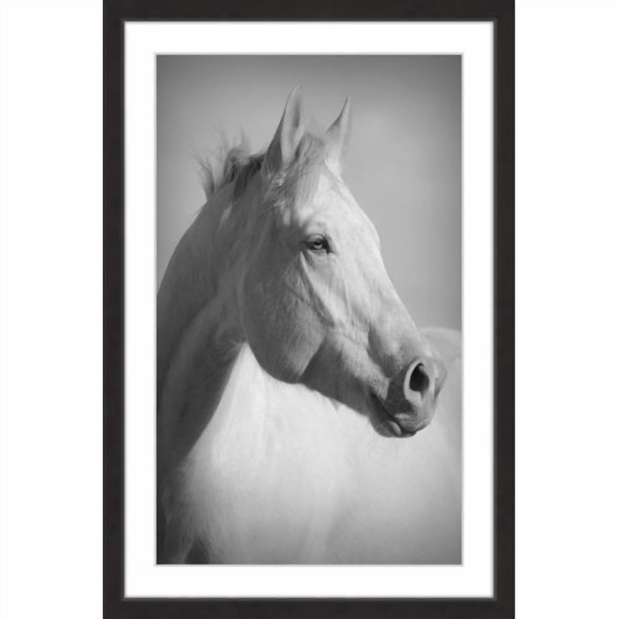 Marmont Hill "Pearl" Framed Painting Print