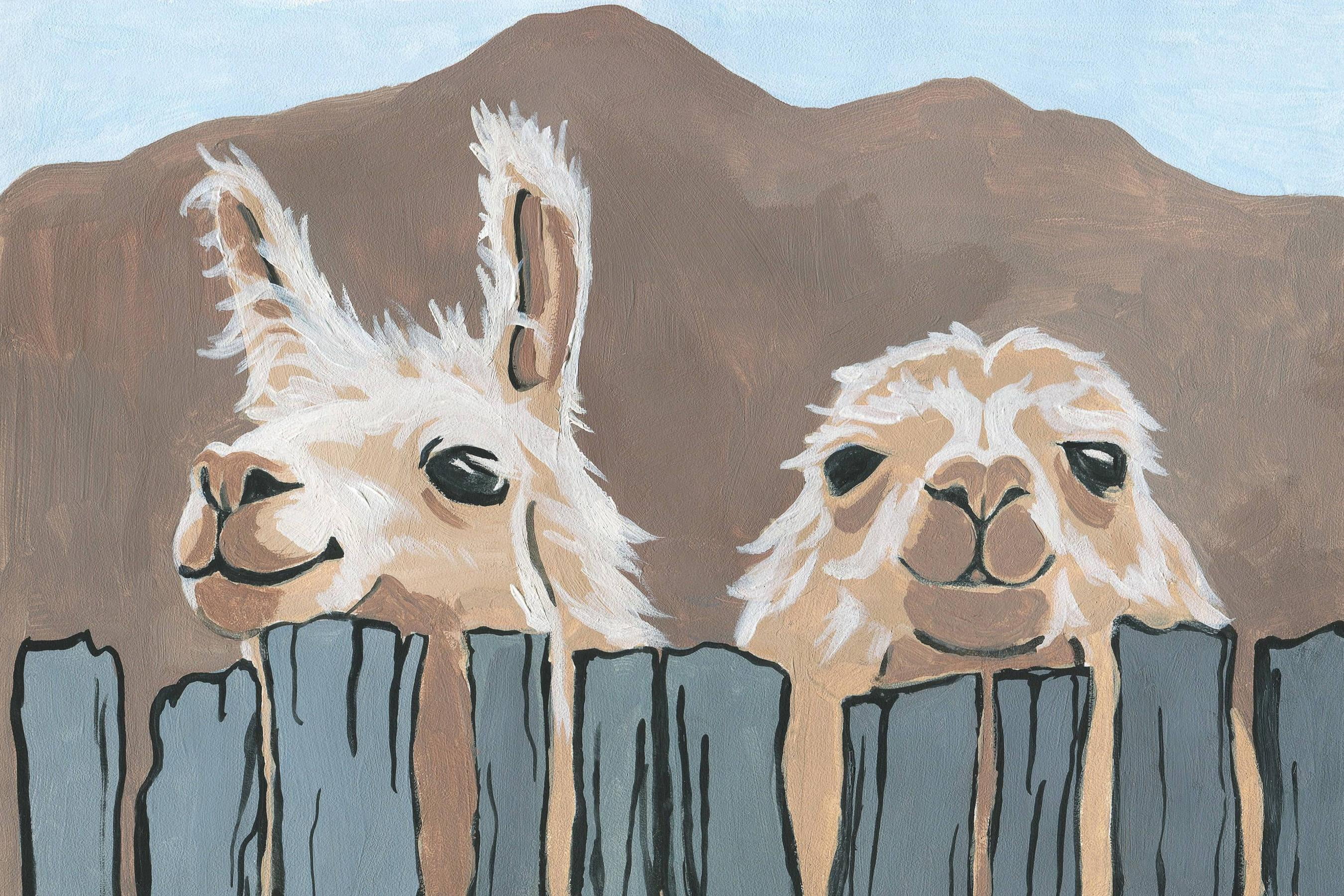 Marmont Hill Peekaboo Llamas 12 in x 18 in Painting Canvas Art Print, by Marmont Hill