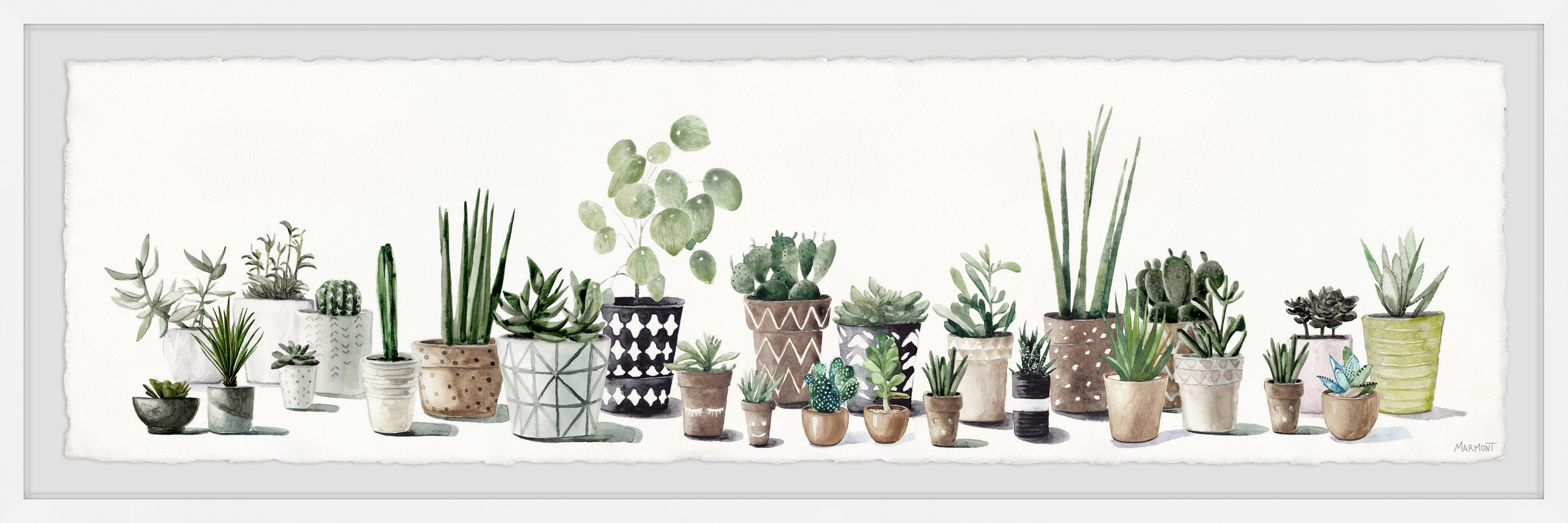 Eclectic Succulent Collection Canvas Print in Various Pots