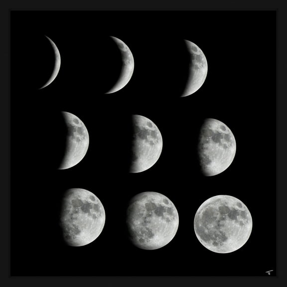 Marmont Hill Phases of the Moon III Framed Wall Art, 12" x 12"