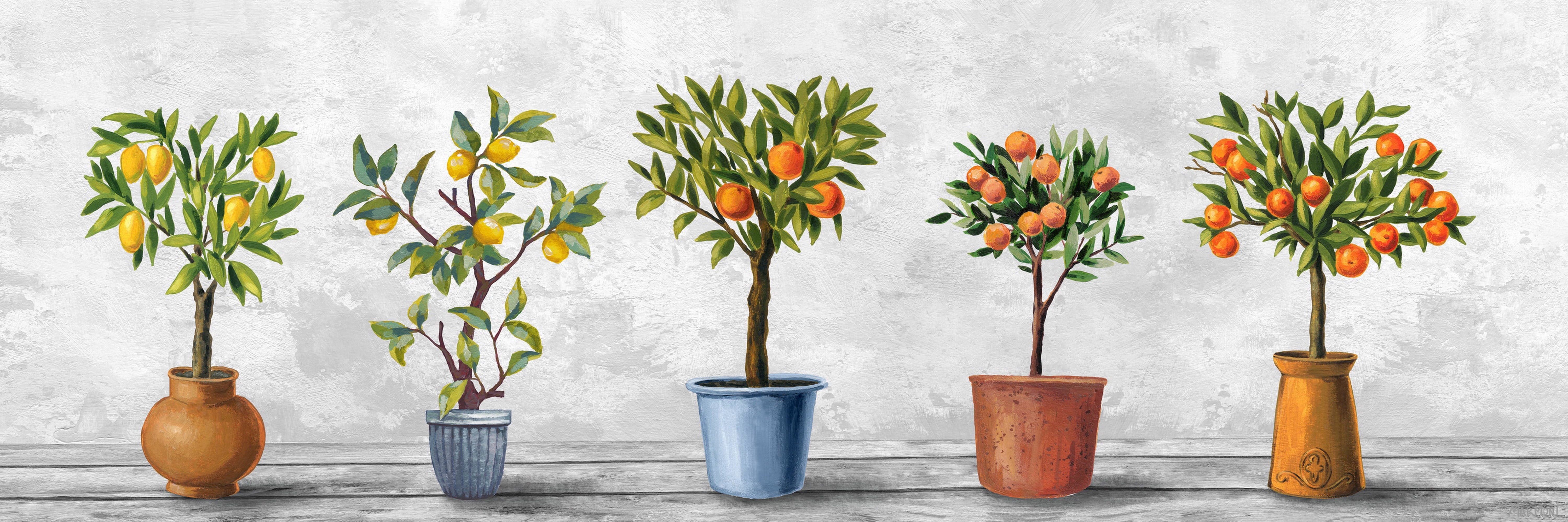 Vibrant Citrus Potted Plants Canvas Wall Art, 5" x 15"