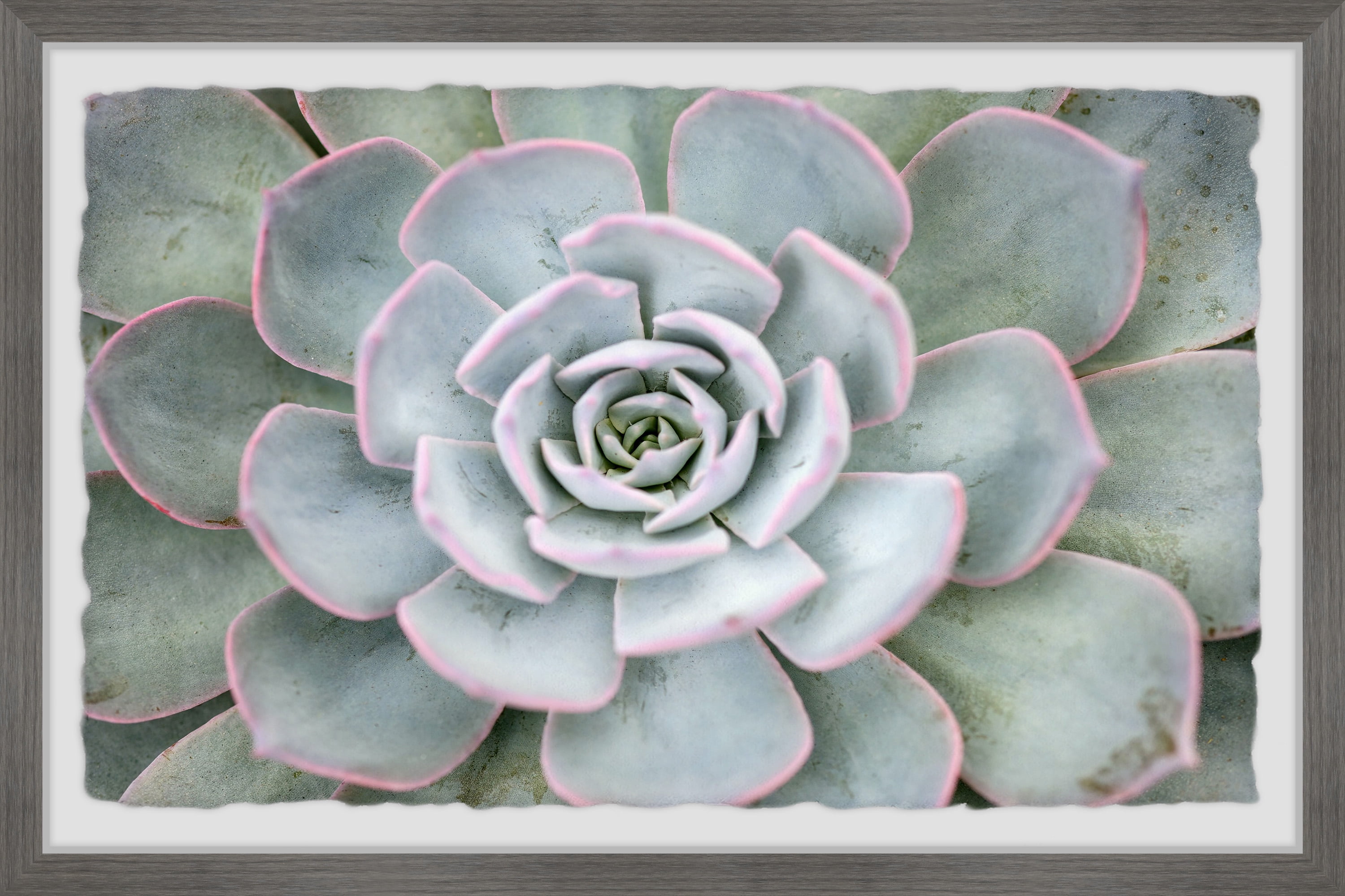 Marmont Hill Pink Edges Framed Wall Art, 16" x 24"