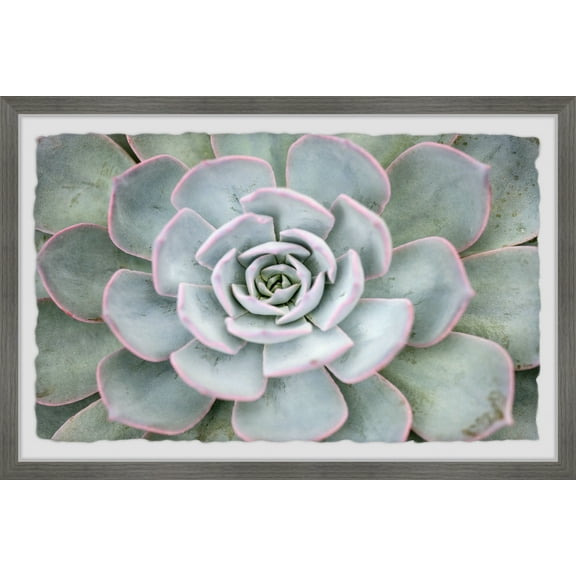 Marmont Hill Pink Edges Framed Wall Art, 8" x 12"