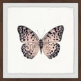 thumbnail image 1 of Marmont Hill Pink and Black Butterfly Framed Wall Art, 18" x 18", 1 of 6