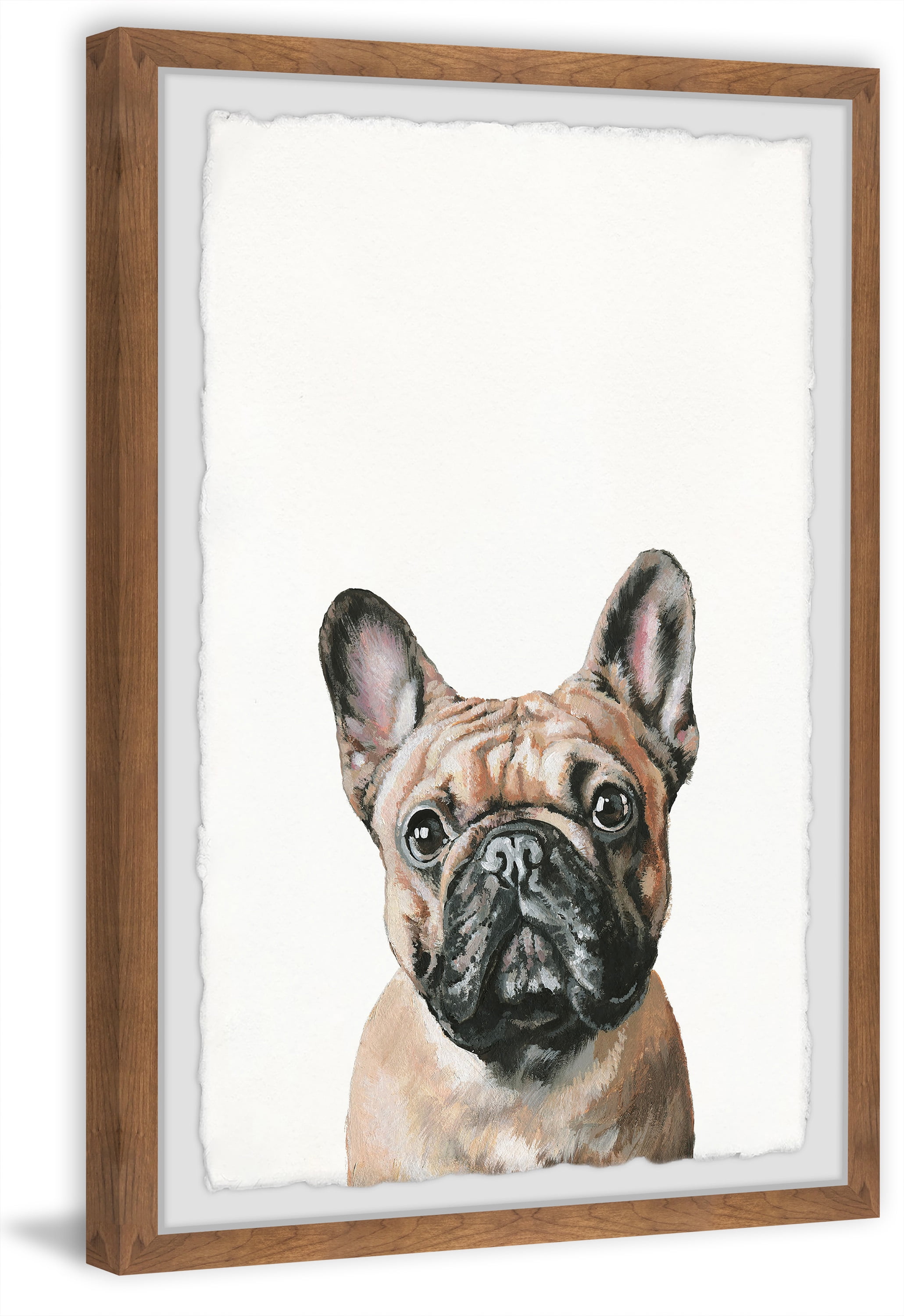 Marmont Hill "Plain Pug" Framed Painting Print