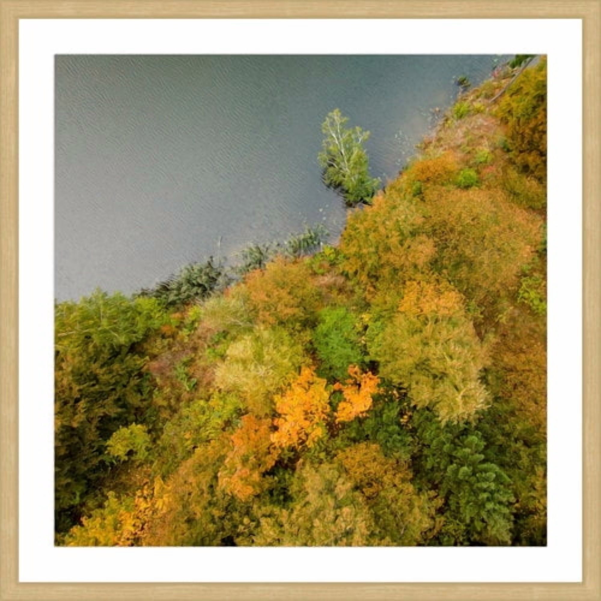 Marmont Hill 'Plant Wall' by Karolis Janulis Framed Photographic Print