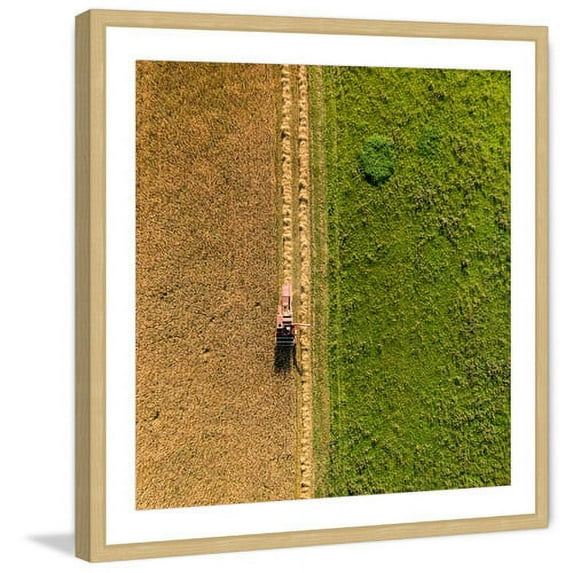 Marmont Hill "Plowing" By Karolis Janulis Framed Painting Art Print, 24.0" x 1.5"