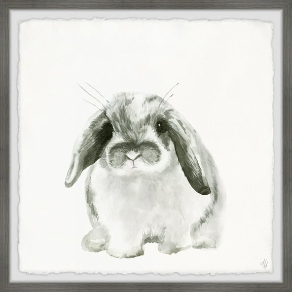 Marmont Hill Plump Bunny Framed Wall Art, 12.00" x 1.50"