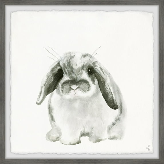 Marmont Hill Plump Bunny Framed Wall Art, 12.00" x 1.50"