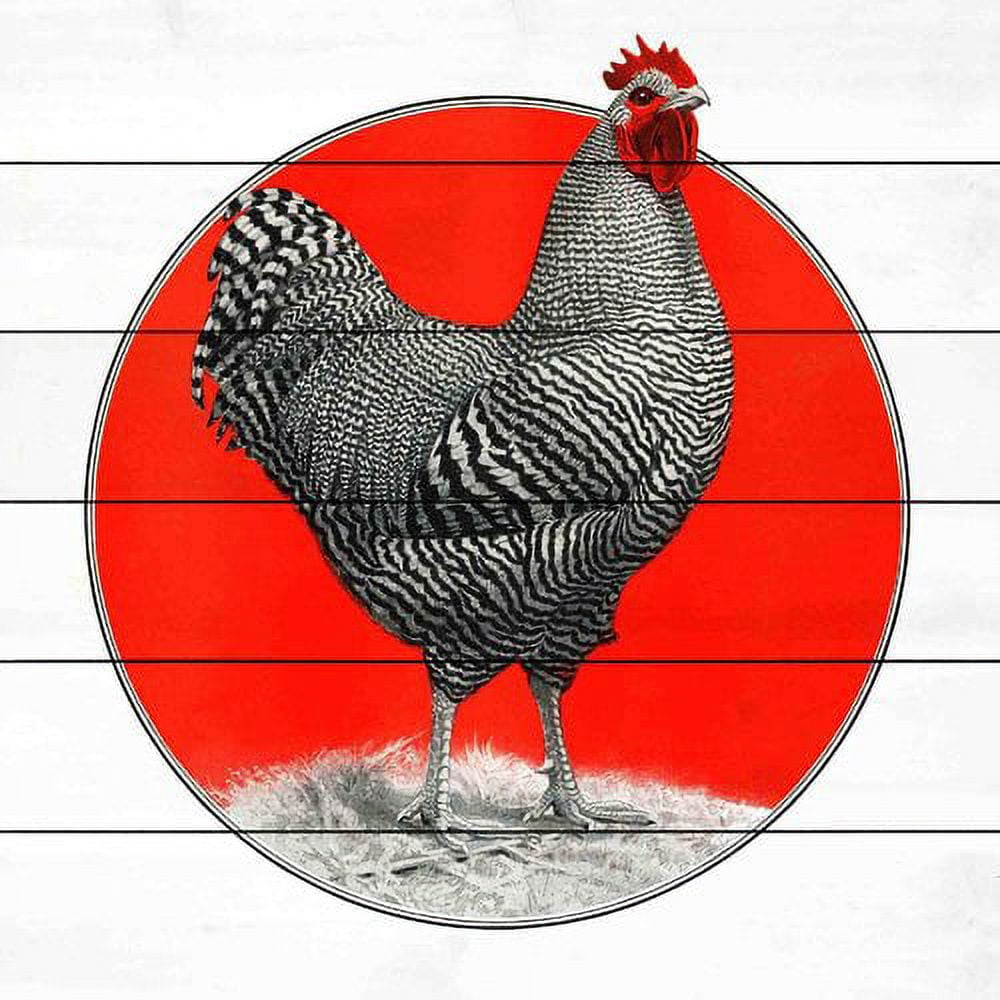 Marmont Hill "Plymouth Rock" Painting Print on White Wood
