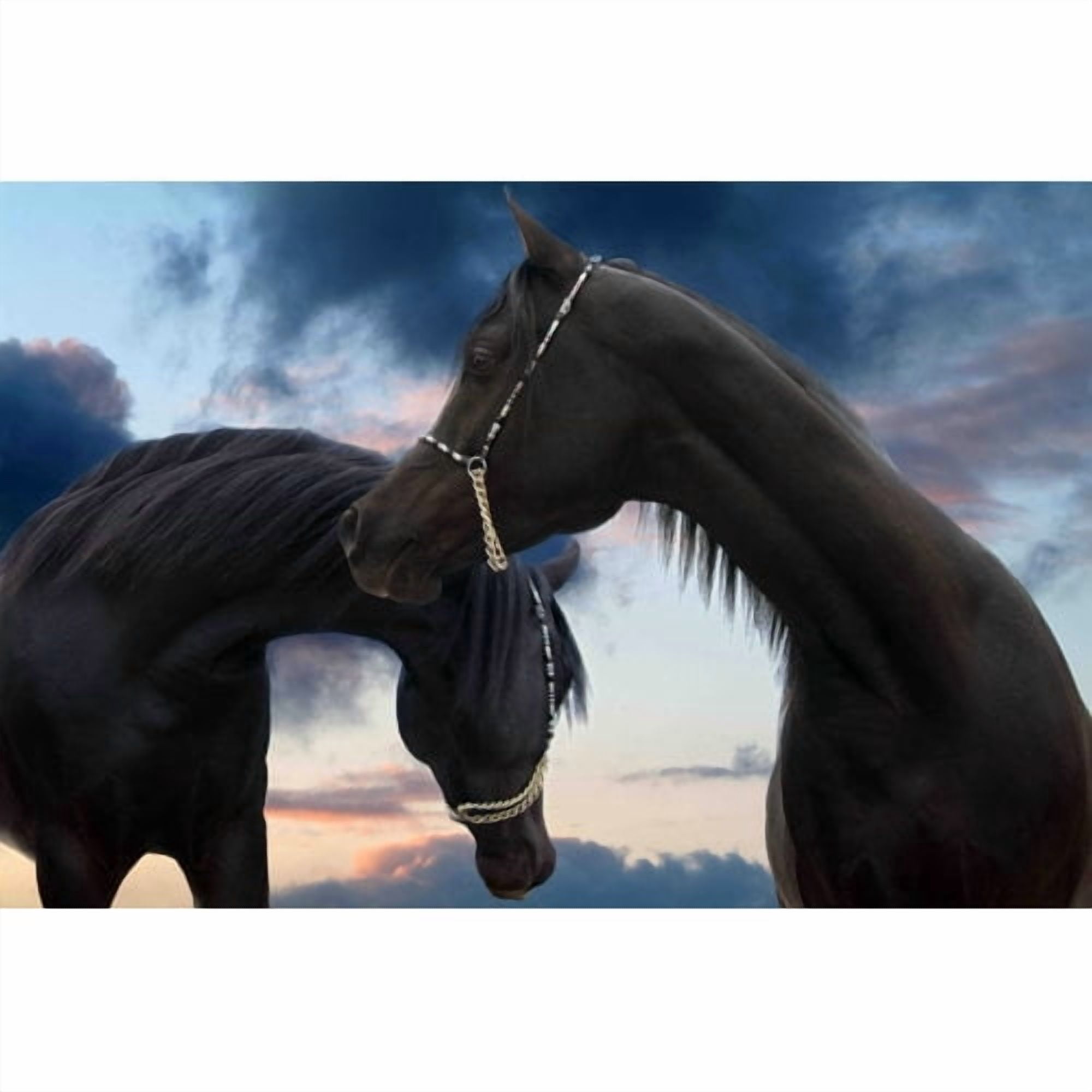 Marmont Hill 'Prince Of Arabia' by Maggie Dee Painting Print on Wrapped Canvas