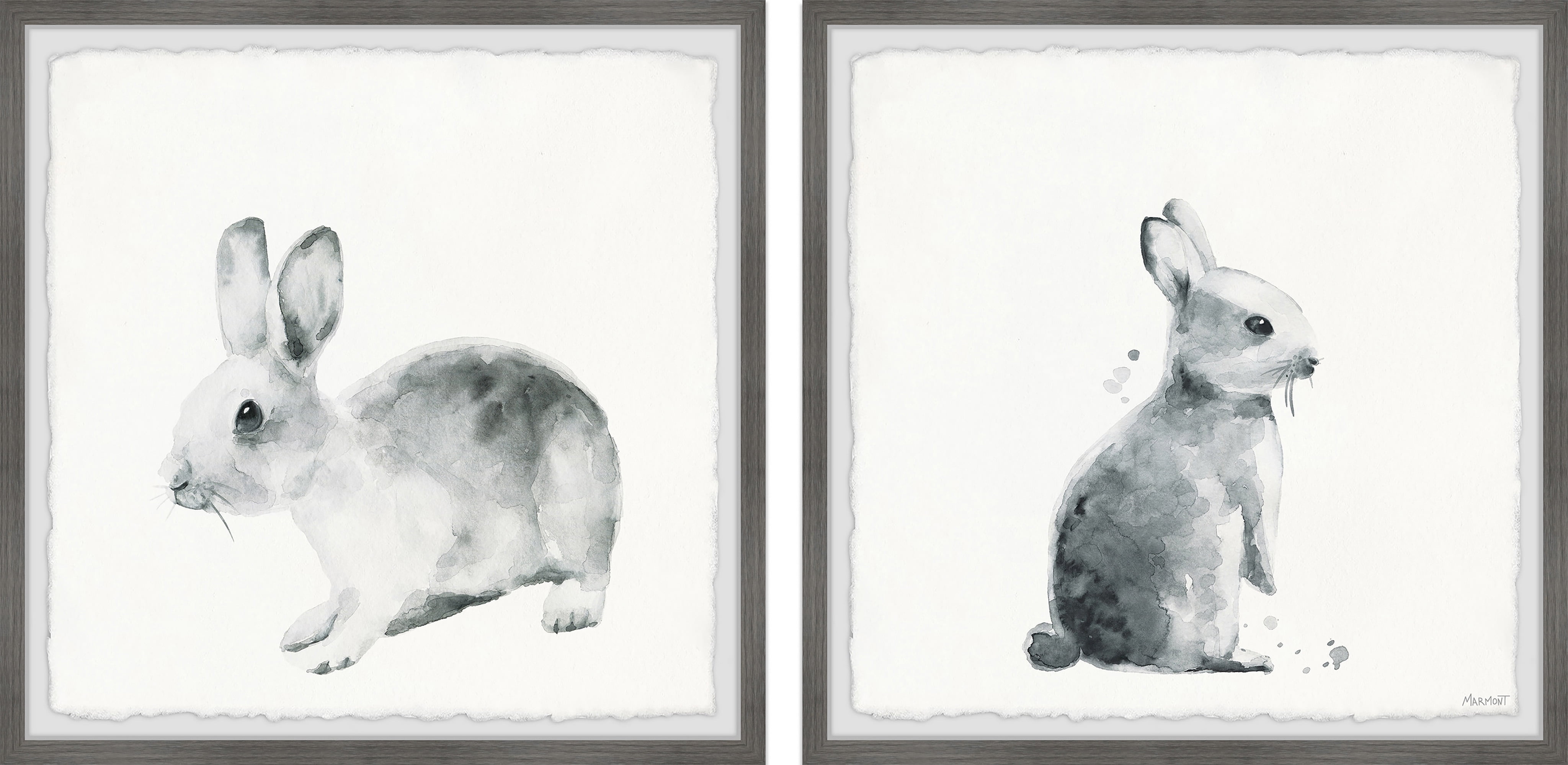 Marmont Hill Printed Animals & Insects Framed Art Prints, Set of 2