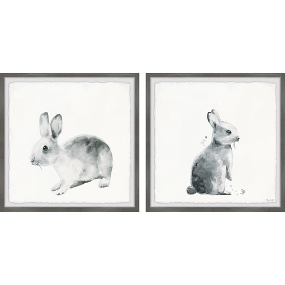 Marmont Hill Printed Animals & Insects Framed Art Prints, Set of 2