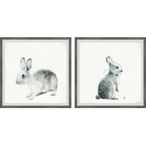 Marmont Hill Printed Animals & Insects Framed Art Prints, Set of 2