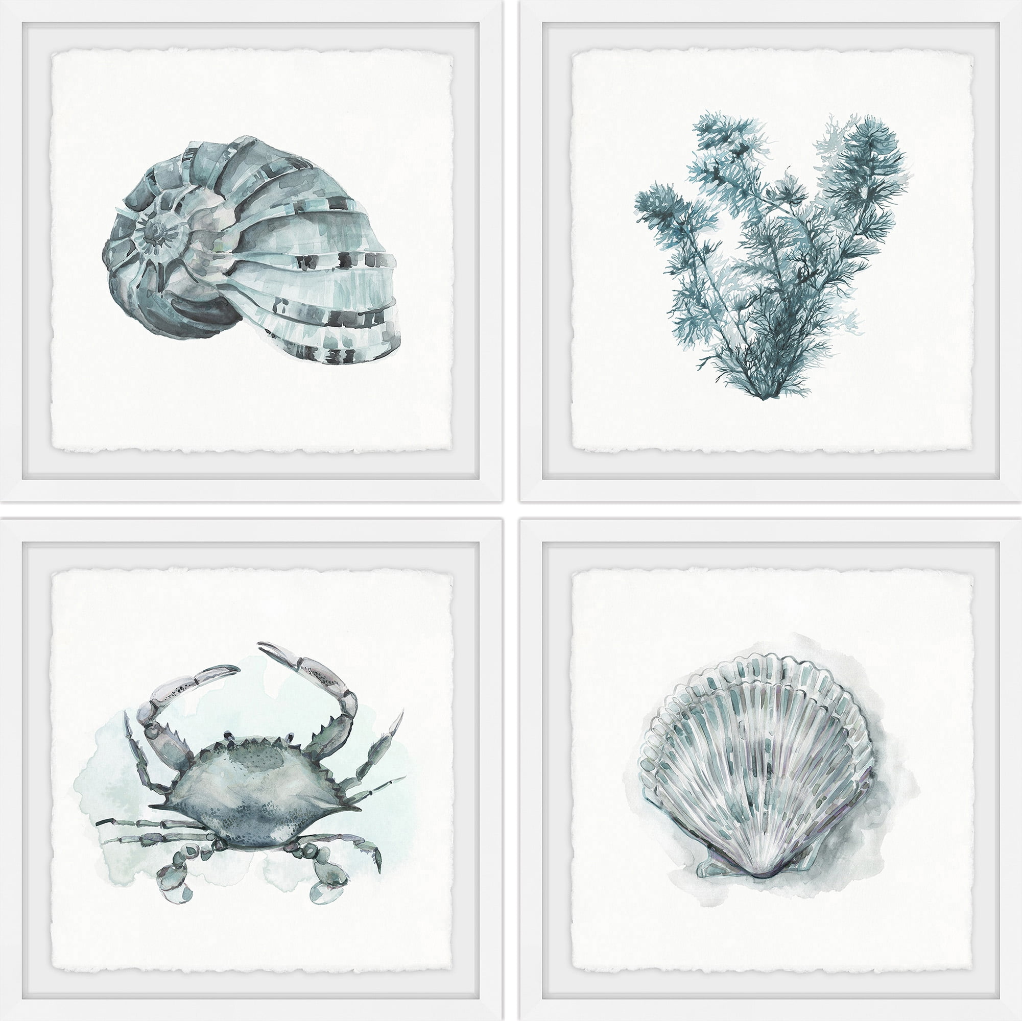 Marmont Hill Printed Animals & Insects Framed Art Prints, Set of 4