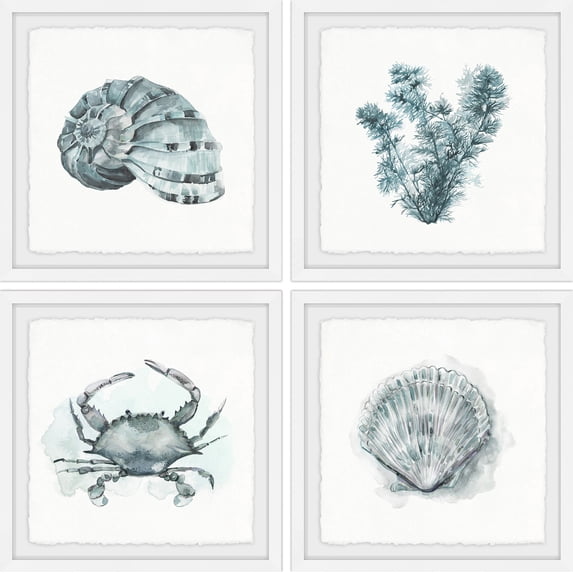 Marmont Hill Printed Animals & Insects Framed Art Prints, Set of 4