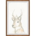 thumbnail image 1 of Marmont Hill Printed Animals & Insects Framed Art Prints, 1 of 6