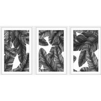 Marmont Hill Printed Botanical Framed Photographic Art, Set of 3