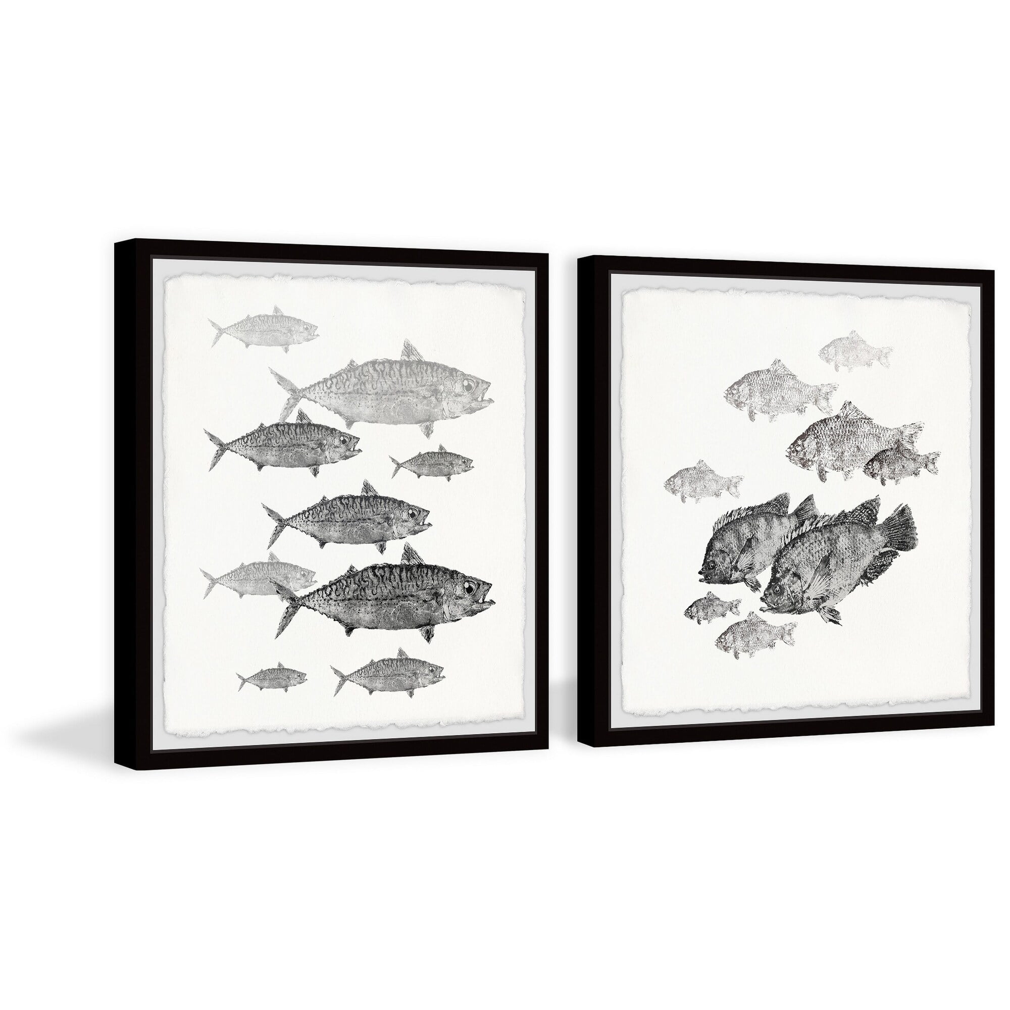 Marmont Hill Printed Fish Framed Art Prints, Set of 2