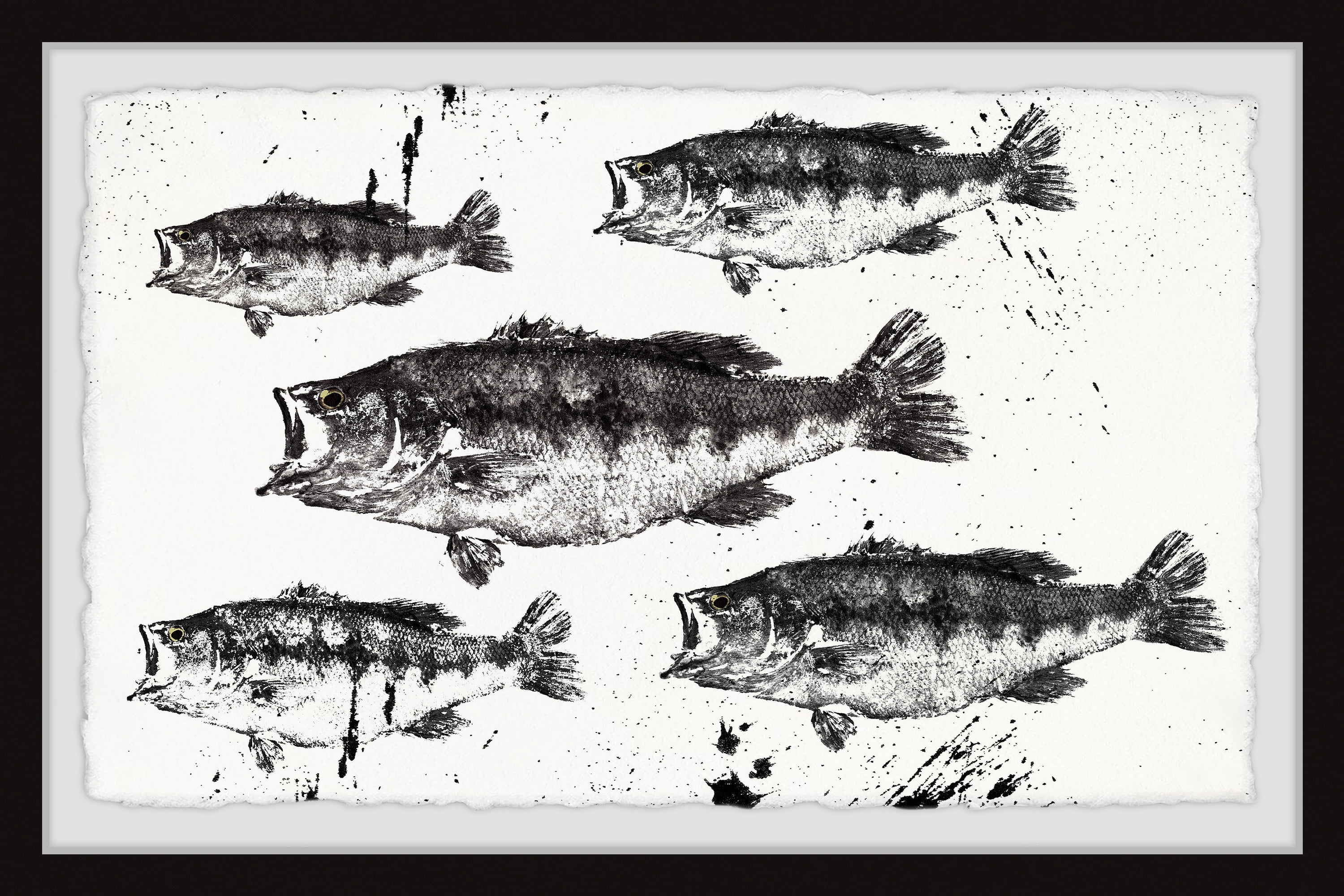 Marmont Hill Printed Fish Framed Art Prints