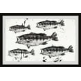 thumbnail image 1 of Marmont Hill Printed Fish Framed Art Prints, 1 of 6