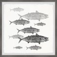 thumbnail image 1 of Marmont Hill Printed Fish Framed Art Prints, 1 of 6