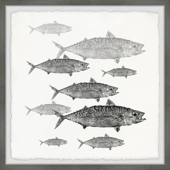 Marmont Hill Printed Fish Framed Art Prints