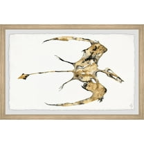 Marmont Hill Pterodactyl Fossil Framed Wall Art, 12.00" x 1.50"