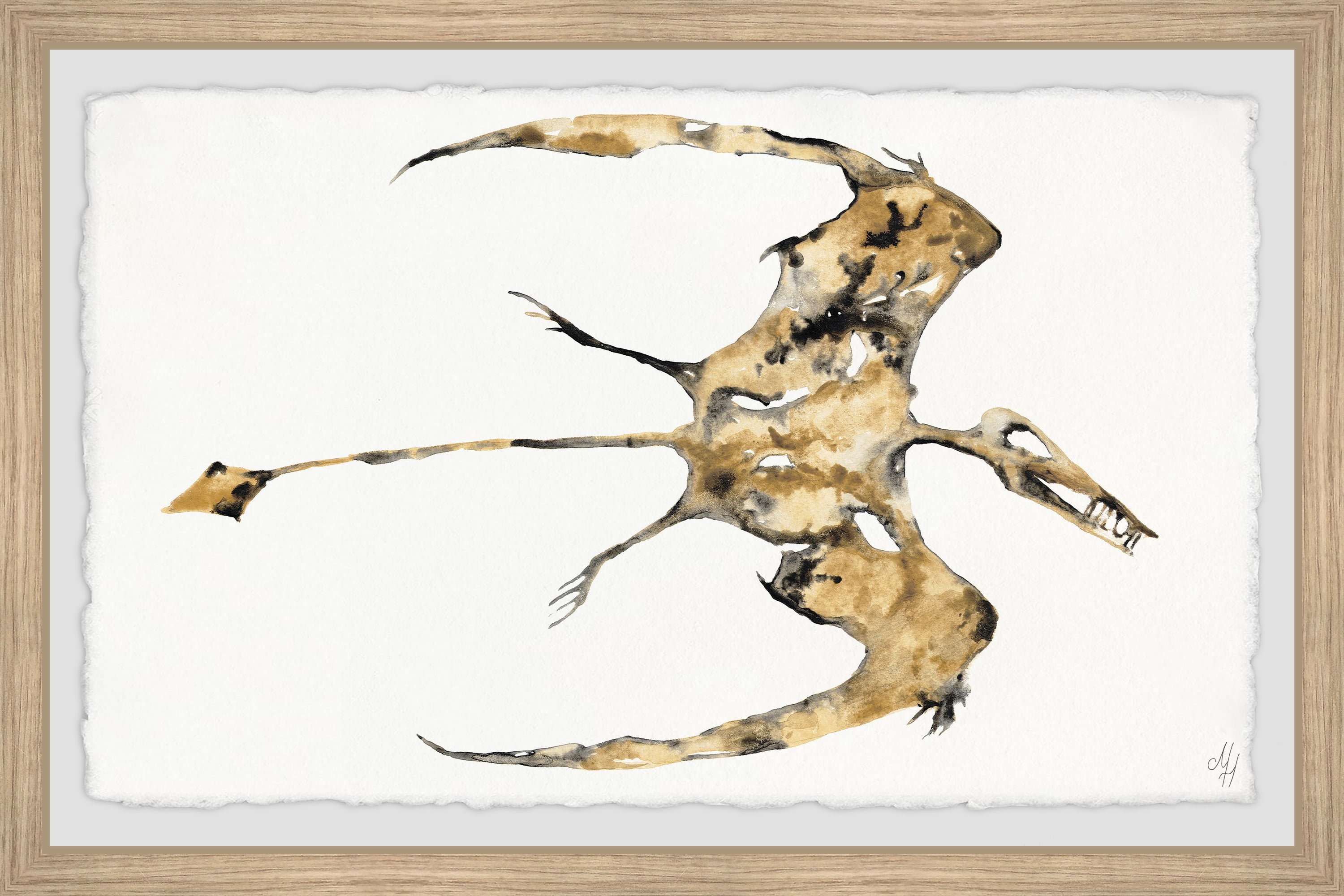 Marmont Hill Pterodactyl Fossil Framed Wall Art, 18.00" x 1.50"