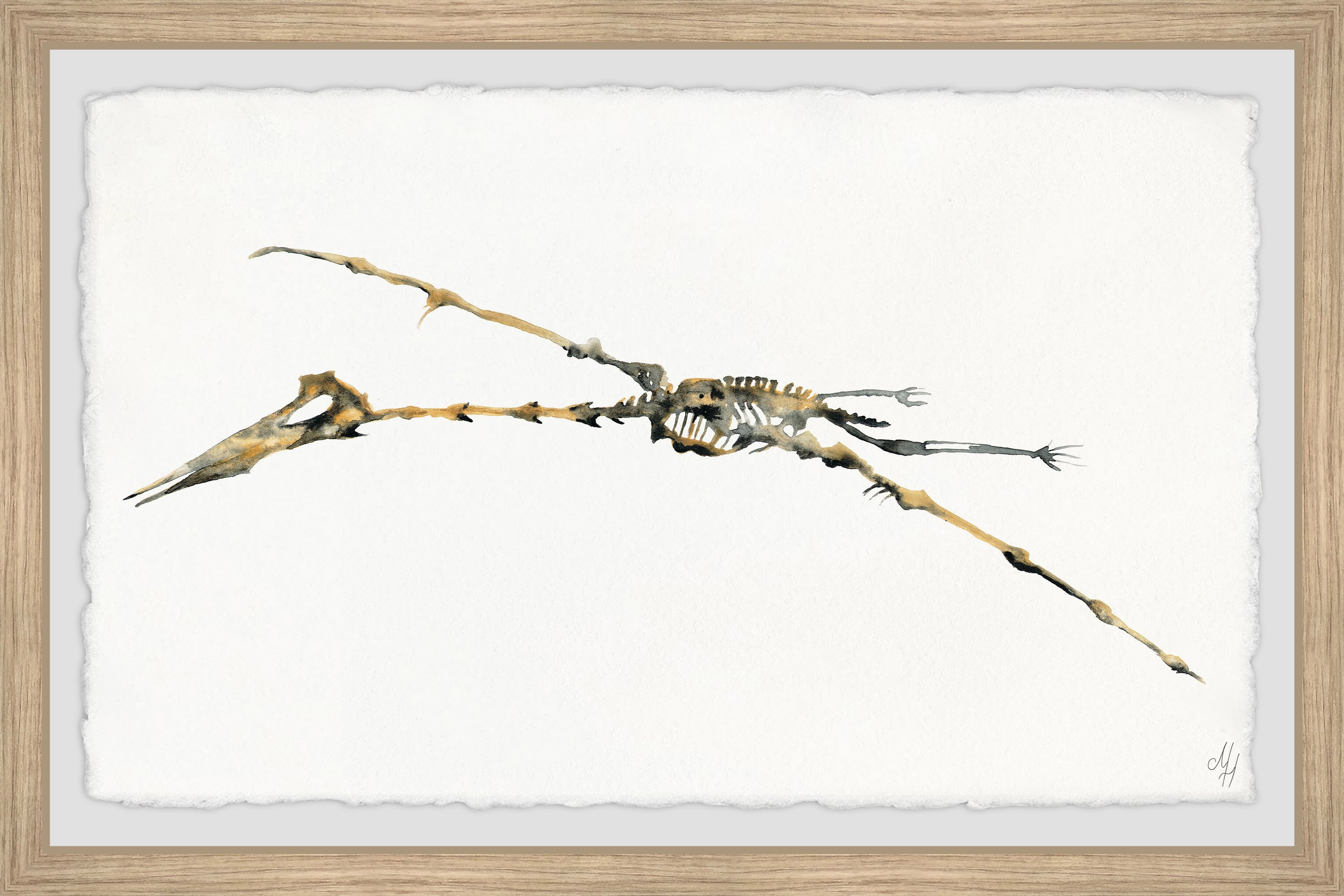 Marmont Hill Pterodactyl Skeleton Framed Wall Art, 30.00" x 1.50"