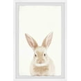 thumbnail image 1 of Marmont Hill Rabbit Close-Up Framed Wall Art, 16.00" x 1.50", 1 of 6