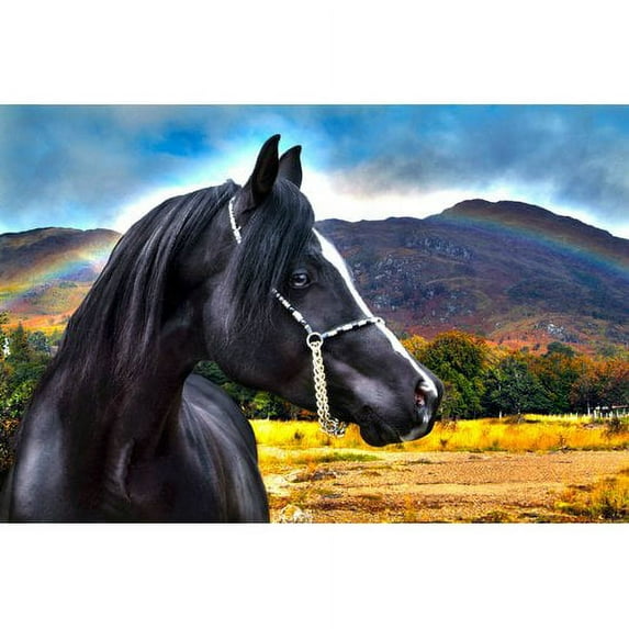 Marmont Hill "Rainbow" by Maggie Dee Painting Print on Canvas