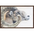 thumbnail image 1 of Marmont Hill "Ram Profile 4" Framed Painting Print, 1 of 5