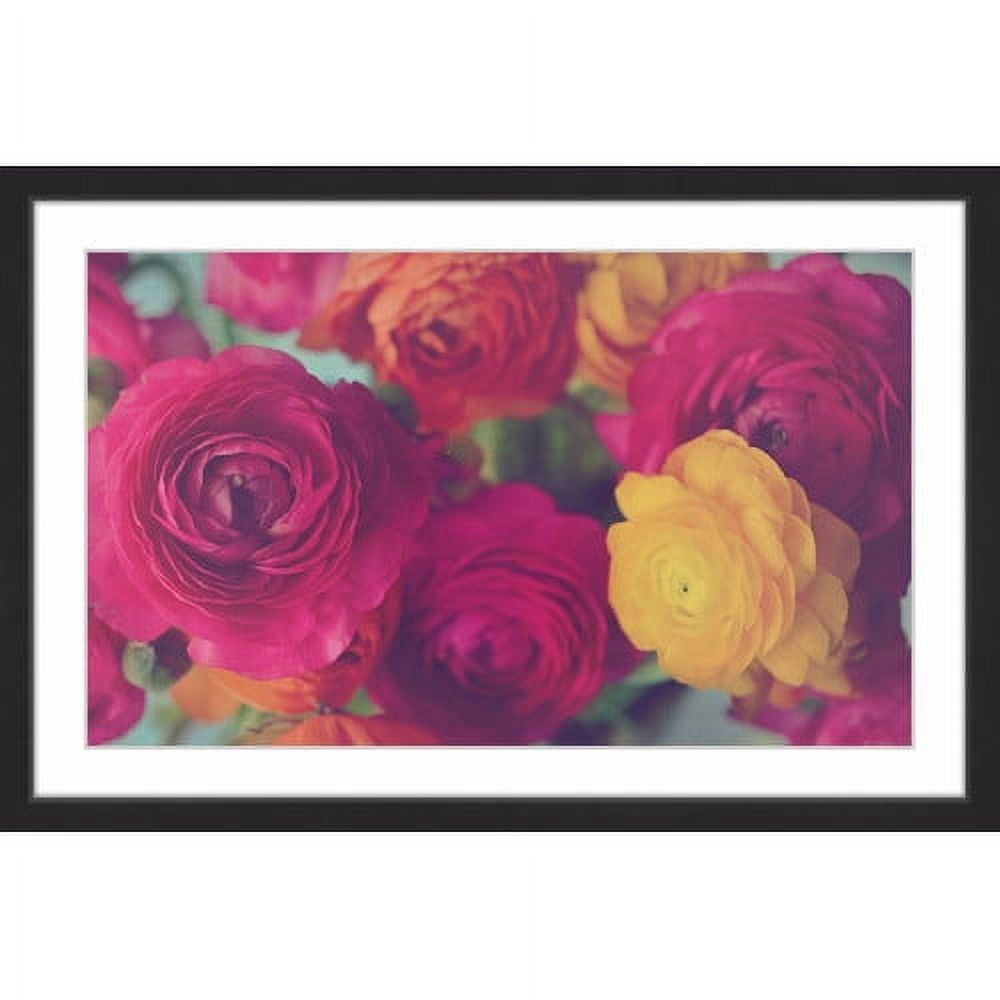 Marmont Hill "Ranunculus Fuchsia" Framed Painting Print