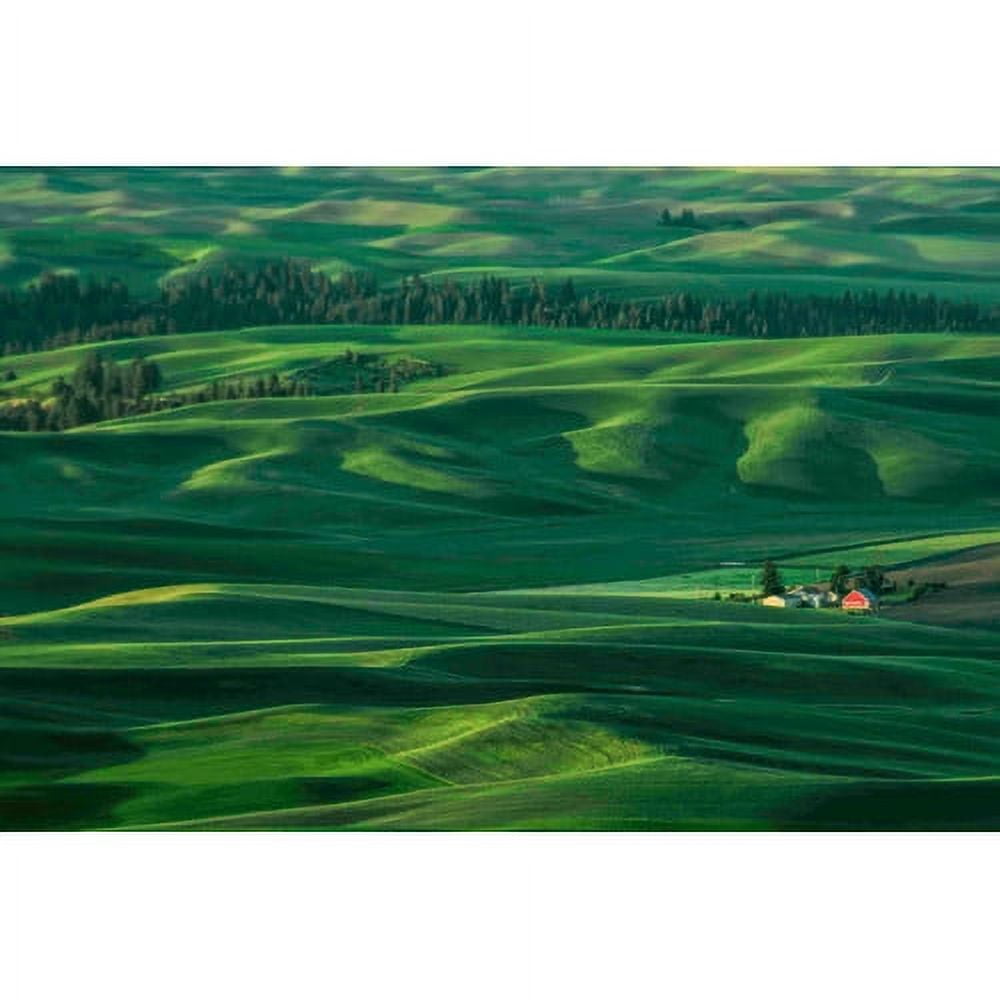 Marmont Hill "Red Barn in the Morning Light" Painting Print on Canvas