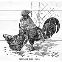 Marmont Hill "Red Caps" Painting Print on White Wood