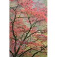 thumbnail image 1 of Marmont Hill "Red Zen" Painting Print on Canvas, 1 of 7