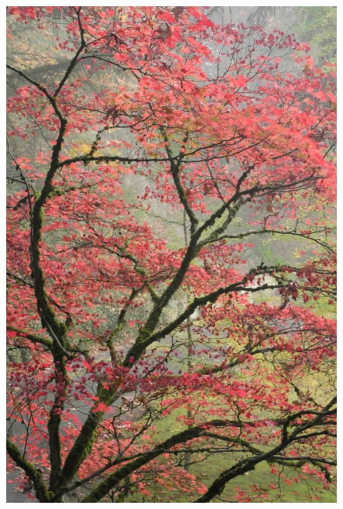 Marmont Hill "Red Zen" Painting Print on Canvas