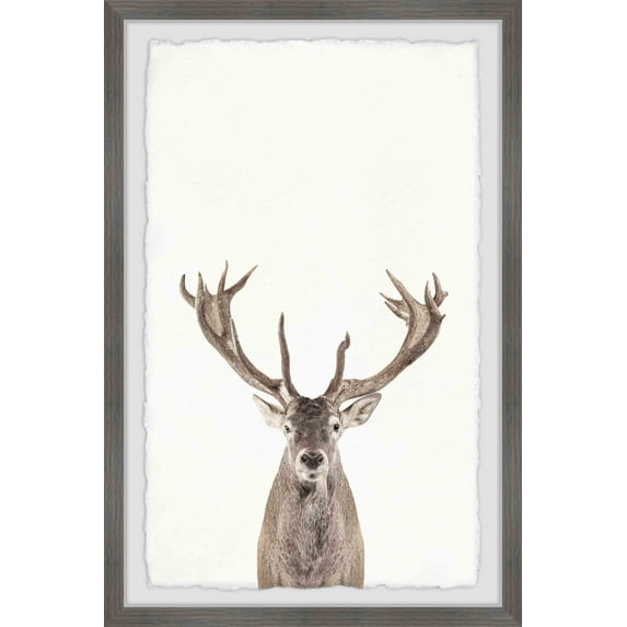 Marmont Hill Reindeer Close-Up Framed Wall Art, 20.00" x 1.50"