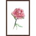 thumbnail image 1 of Marmont Hill - "Rose Colored Peony" by Michelle Dujardin Framed Painting Print, 1 of 4