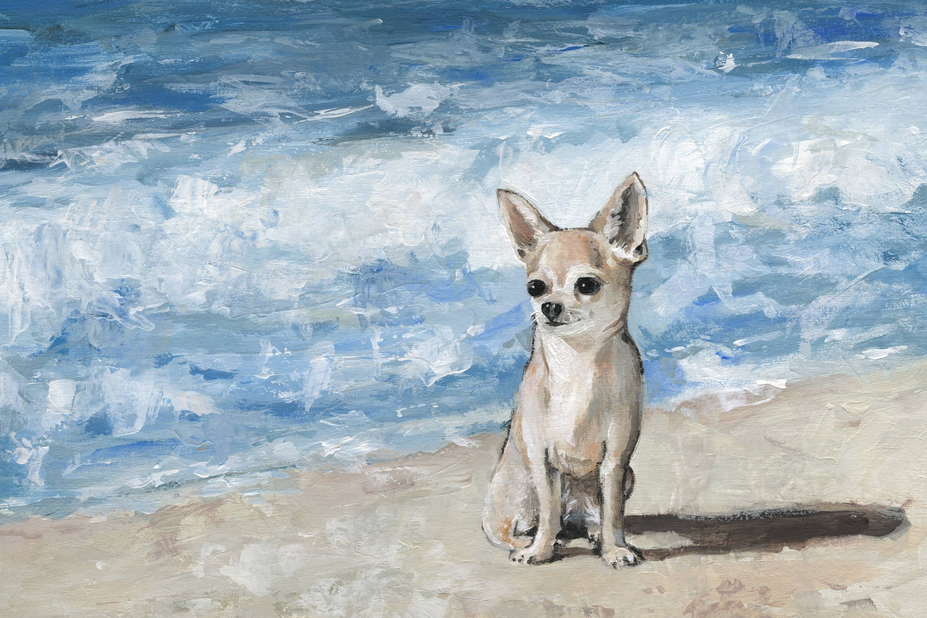 Marmont Hill Sad Chihuahua Canvas Wall Art