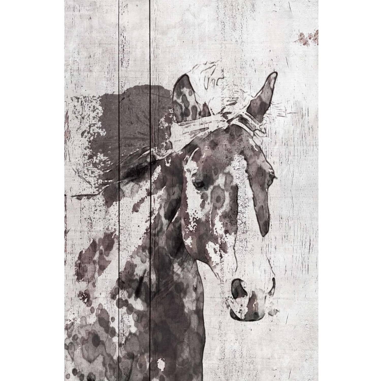 Marmont Hill "Scarlet Horse 1" by Irena Orlov Painting Print on Wrapped Canvas
