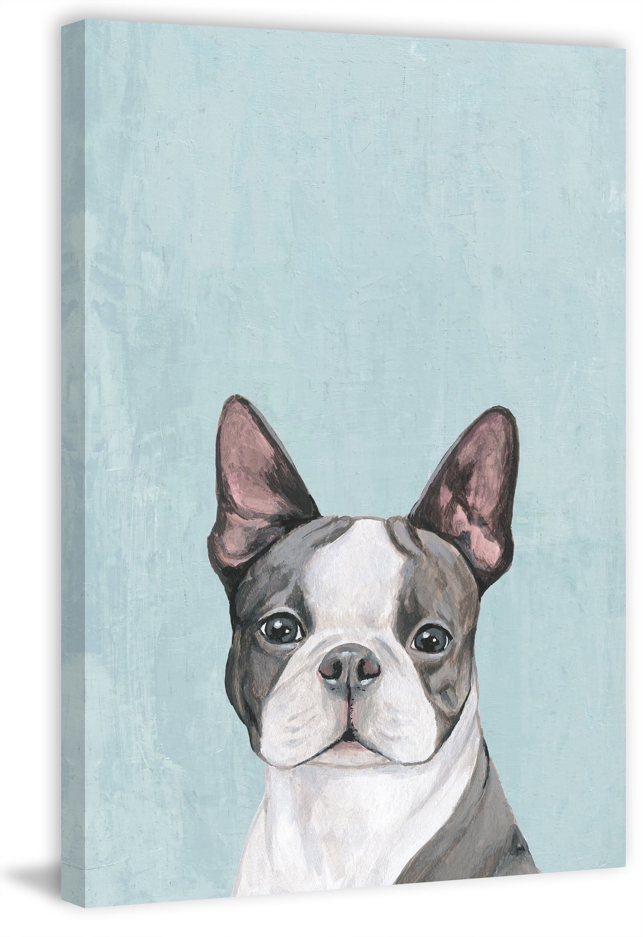 Large Gray and White Dog Portrait on Canvas