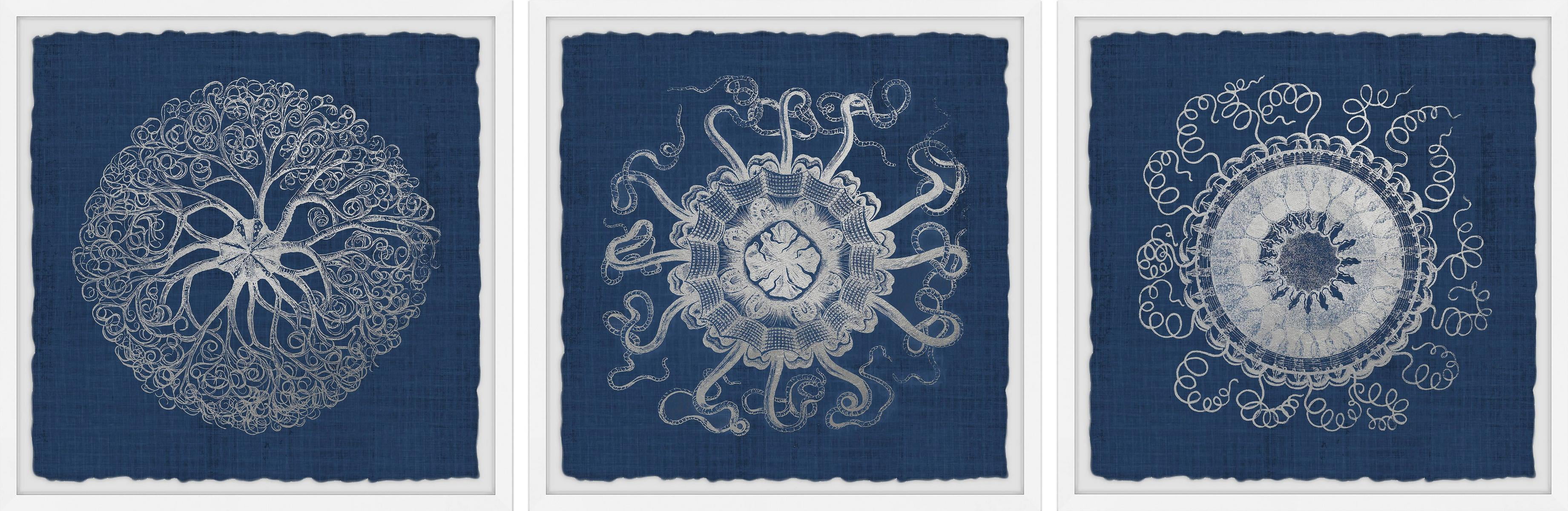 Marmont Hill Sea Anemone on Indigo Triptych