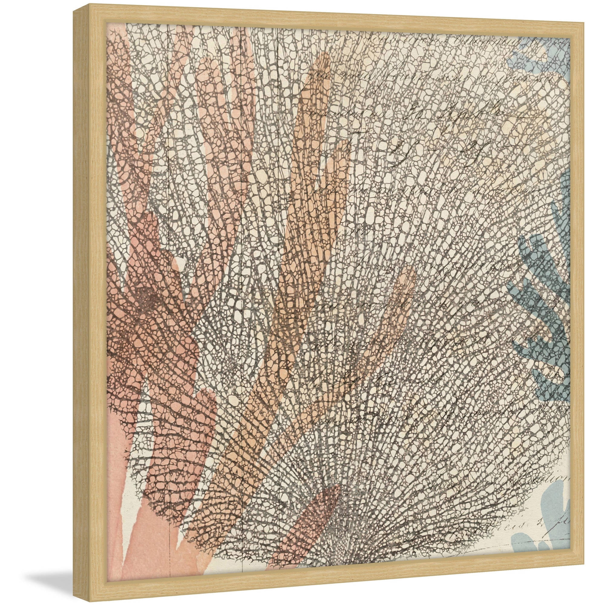 Marmont Hill "Sea Ephemera I" Framed Painting Print