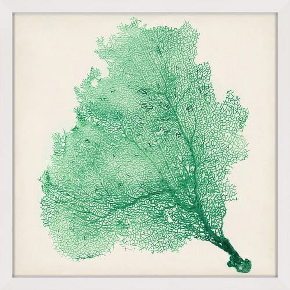 Green Sea Fan Print on Canvas with White Frame, 12" x 12"