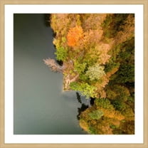 Marmont Hill "Sea Plants" by Karolis Janulis Framed Painting Print