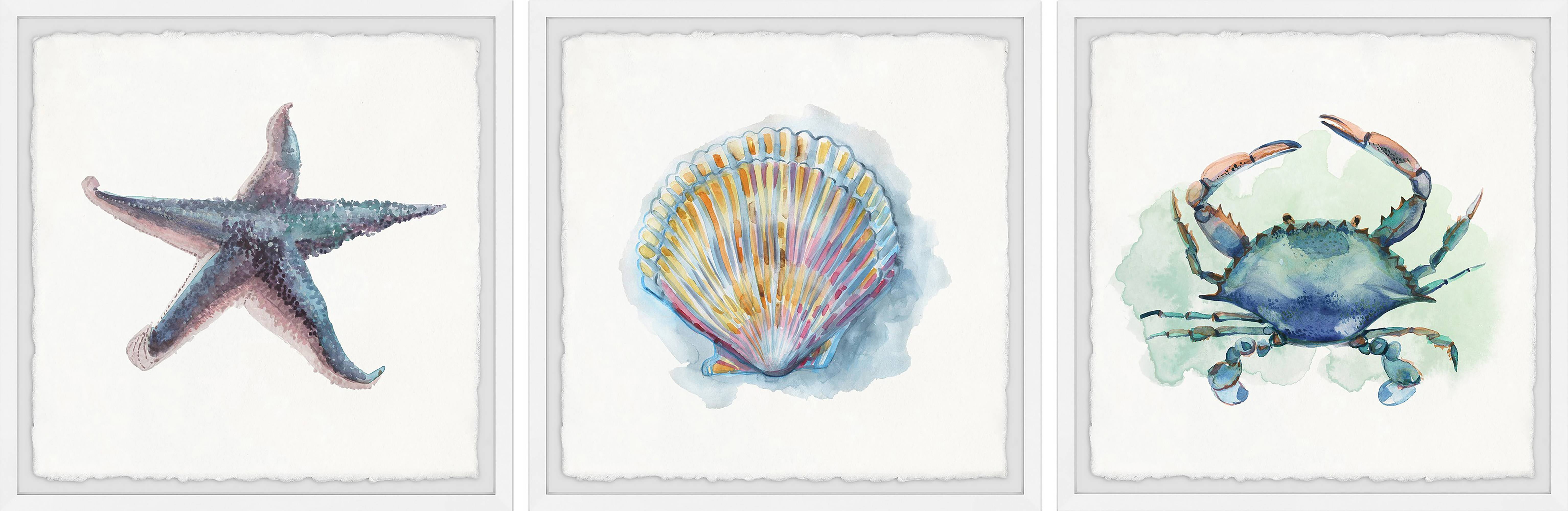 Marmont Hill Sea Shore Gems Triptych Art Prints