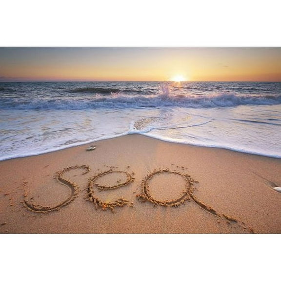 Marmont Hill "Sea Shore" Painting Print on Wrapped Canvas